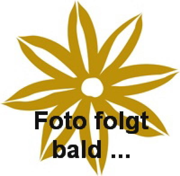 Brot-Gewürzmischung "pikant"